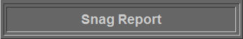 Snag Report